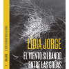 Viento-soplando-entre-gruas