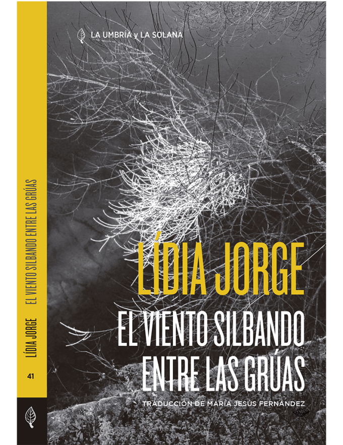 Viento-soplando-entre-gruas